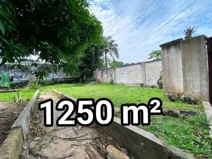 Terrain à vendre à Sangolo — photo 3